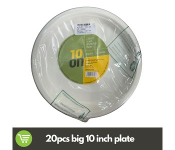 10 ON WHITE PULP DISPOSABLE PLAIN PLATES MEDIUM 10 INCHES